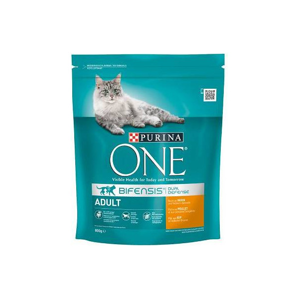 Purina One Cat Adult Z Kurczakiem Dla Kota 800g
