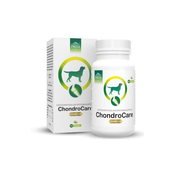 POKUSA ChondroLine ChondroCare 120 tab.