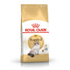 ROYAL CANIN Ragdoll Adult 2kg